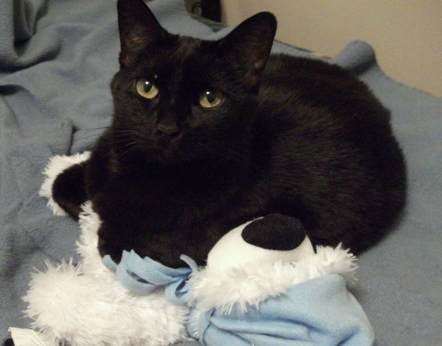 Liliy & Otto - Oregon (Lily'll be 16 in 2019)